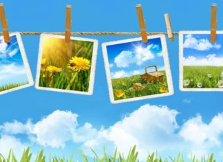 К чему снится лето, солнце, пляж, летняя одежда? Основные толкования разных сонников — к чему снится лето