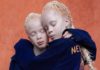 Мода в Instagram: 5 аккаунтов блогеров-близнецов, которых объединяет не только внешность, но и стиль